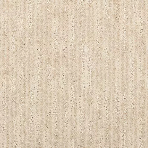 Carpet sample from Sculptured Touch II collection named Portrait.